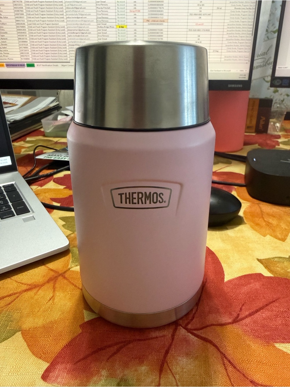 Thermos Pink Insulated Food Jar 24 ounce
